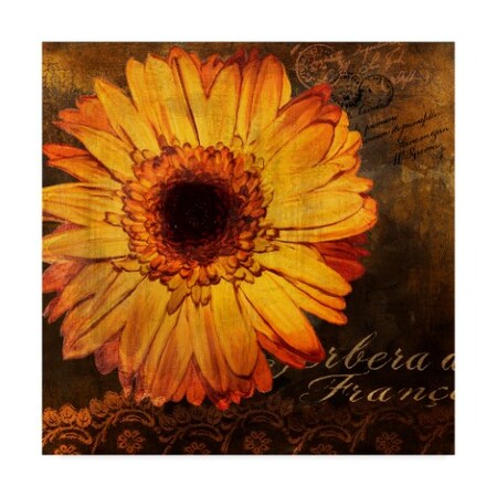 Trademark Fine Art Art Licensing Studio 'Golden Gerbera Iii' Canvas Art, 14x14 ALI38567-C1414GG